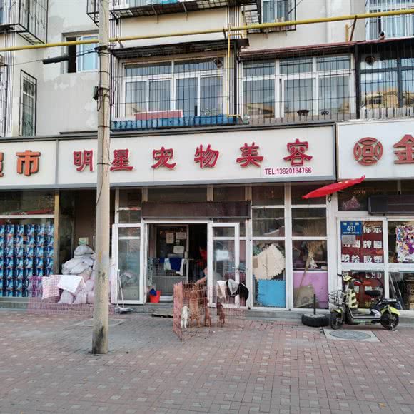 明星宠物美容:天津城区滨海新区大港城区附近