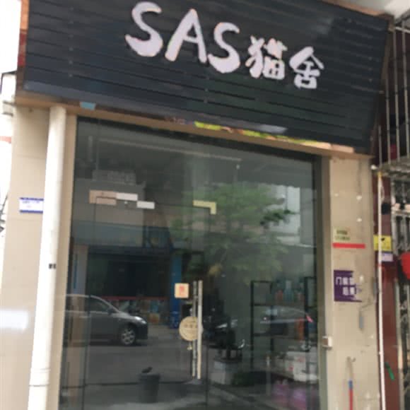 SAS猫舍:佛山市三水区三水区附近