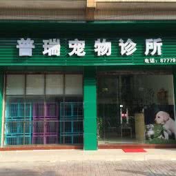 普瑞宠物诊所:佛山市三水区三水区附近