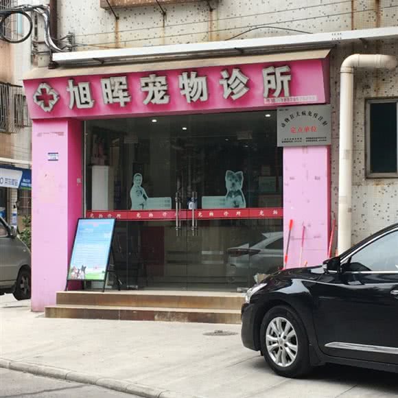 旭晖宠物诊所(三水西南店):佛山市三水区三水区附近