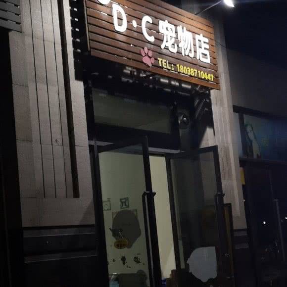 D·C宠物店:佛山市高明区高明区附近