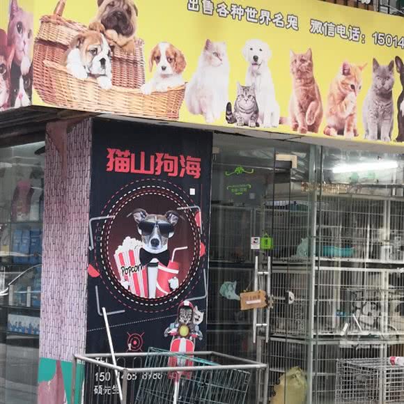 猴子山狗海:佛山市高明区高明区附近