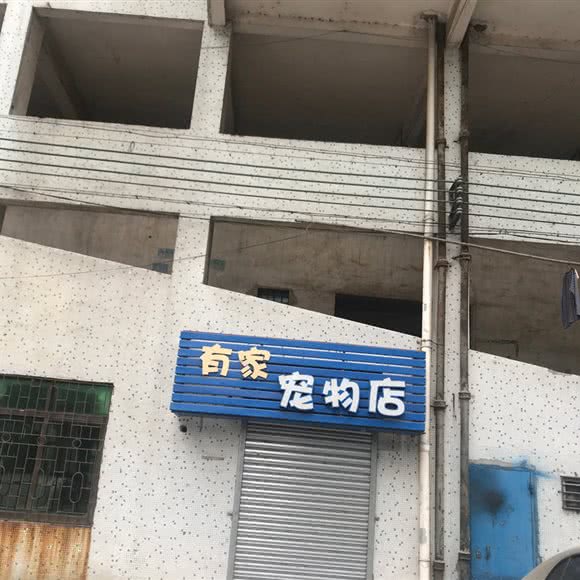 有家宠物店:佛山市高明区高明区附近