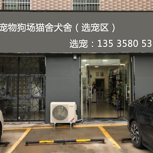 中韩宠物狗场猫舍犬舍:佛山市高明区高明区附近