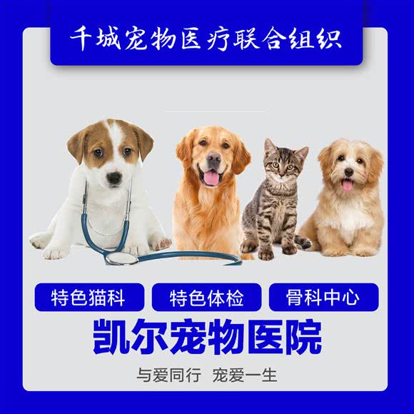 凯尔动物医院:江门市蓬江区汇悦城附近