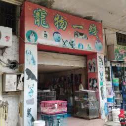 宠物一线:江门市蓬江区地王附近