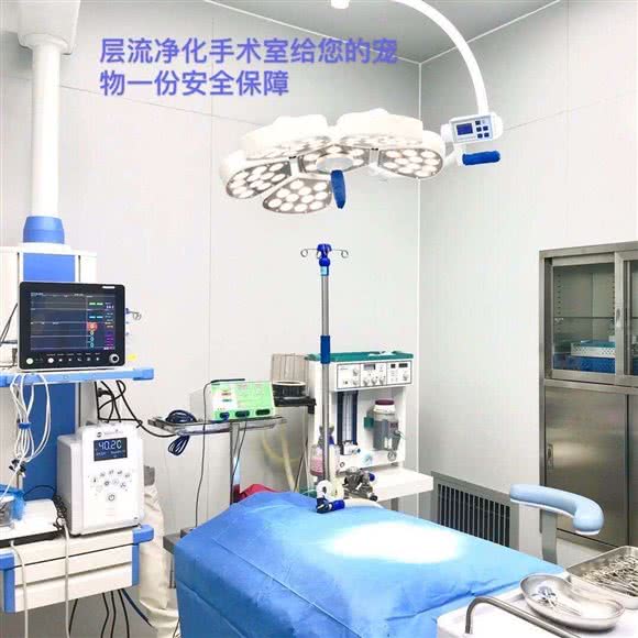 万信宠物外科医院:江门市蓬江区北郊附近