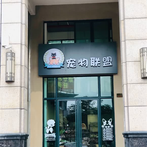 宠物联盟:江门市蓬江区北郊附近