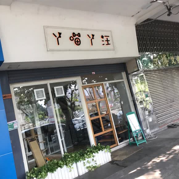 丫喵丫汪:江门市蓬江区益华附近