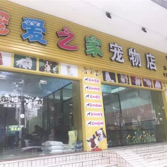 宠爱之家:江门市蓬江区白沙附近