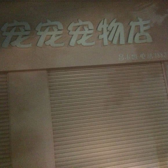 宠宠宠物店:江门市蓬江区白沙附近