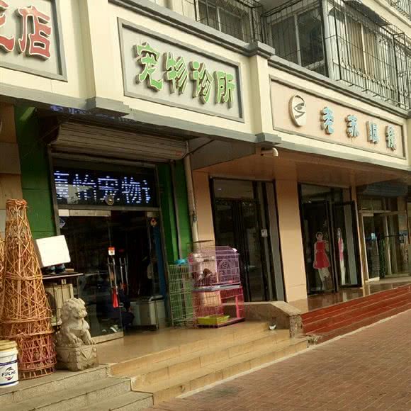 鑫康怡宠物诊所:天津城区滨海新区大港城区附近