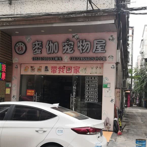 star麦伽宠物屋:江门市蓬江区荷塘附近