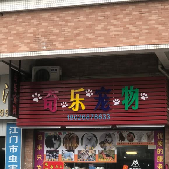 奇乐宠物:江门市蓬江区良化附近