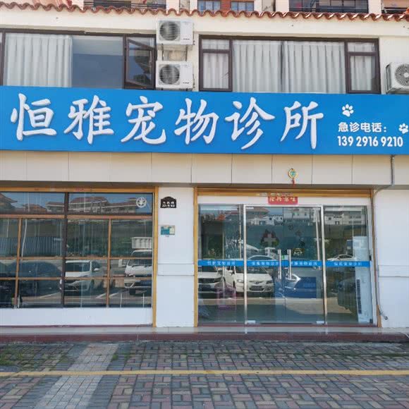 恒雅宠物诊所:江门市江海区江海附近