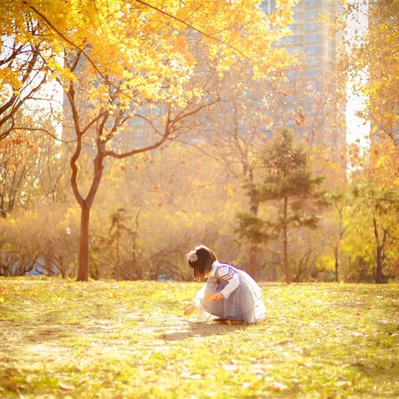 曹艾霖小朋友de宠物店:天津城区滨海新区杭州道/福州道附近