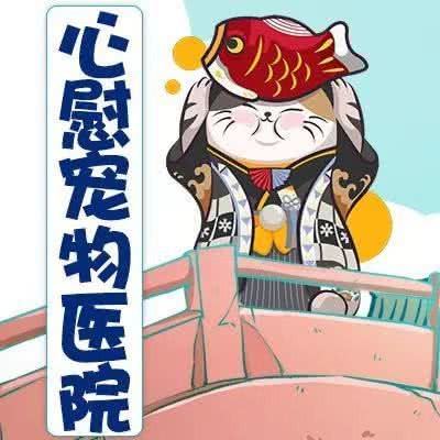 心慰宠物医院(连锁湛江赤坎店):湛江市赤坎区金沙湾观海长廊附近