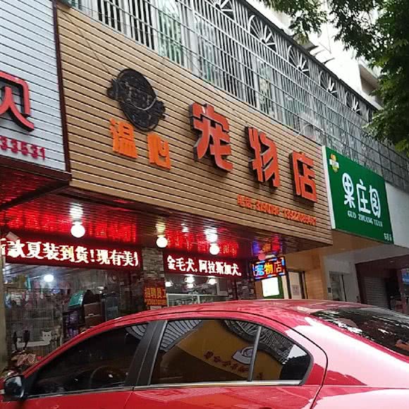 温心宠物店:湛江市赤坎区鹰展假日广场附近