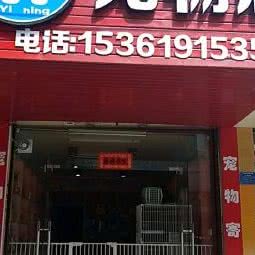 怡宁宠物店:湛江市赤坎区跃进路沿线附近
