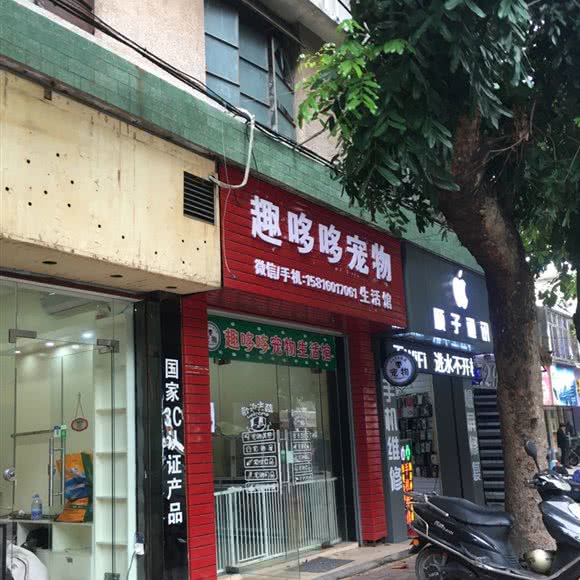 趣哆哆宠物生活馆:湛江市赤坎区创业路附近