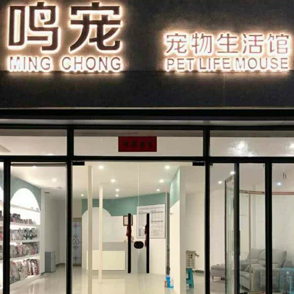鸣宠狗狗生活馆:湛江市赤坎区海田车站附近