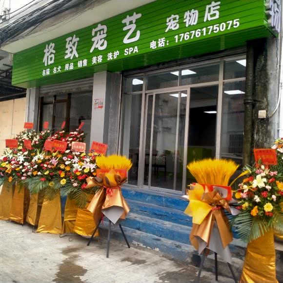 格致宠艺宠物店:湛江市霞山区霞山步行街附近