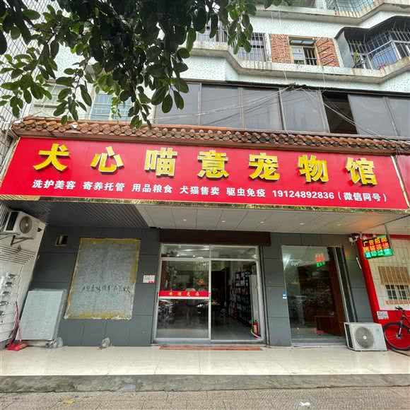 犬心喵意宠物馆:湛江市霞山区绿村路附近