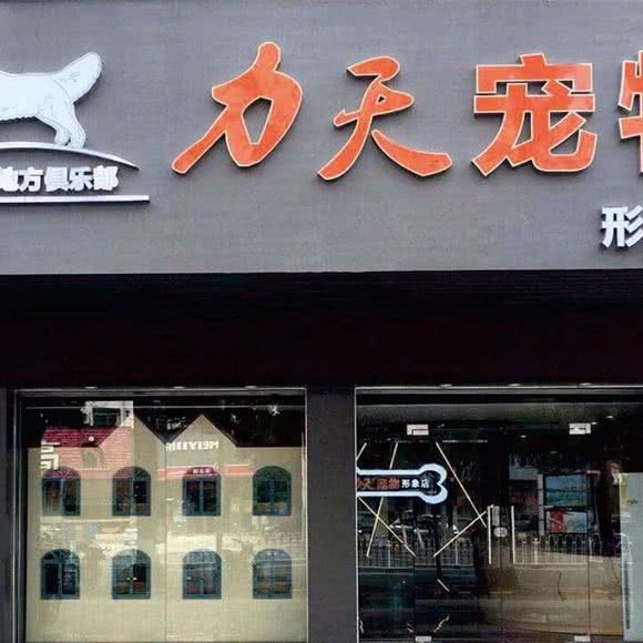 力天宠物形象店:茂名市茂南区双山路附近