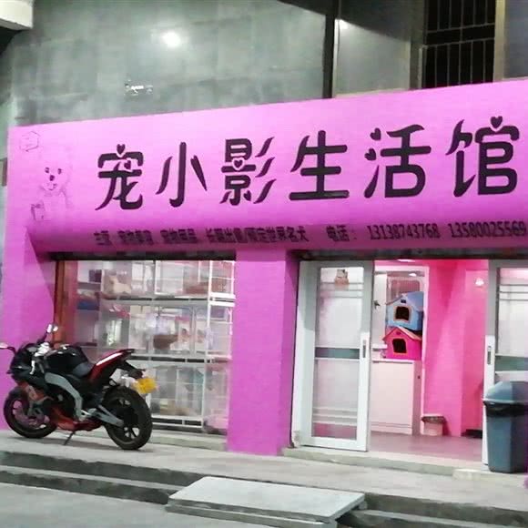 宠小影生活馆:茂名市茂南区官渡附近