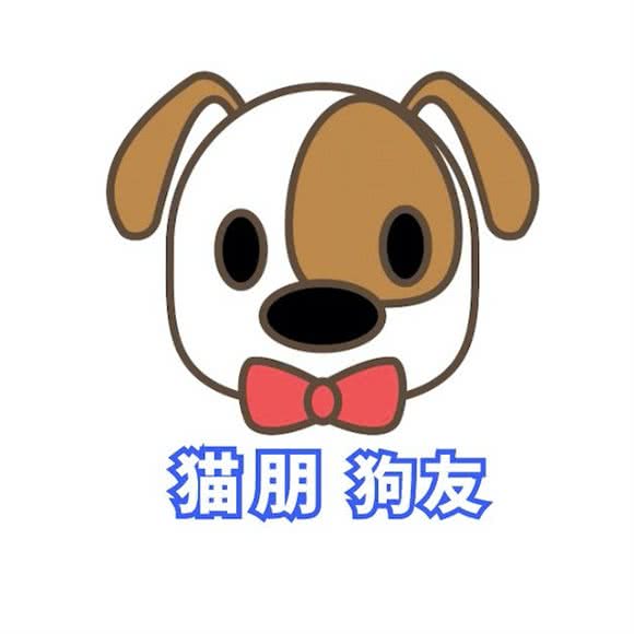 猫朋狗友宠物店:茂名市茂南区新福路附近