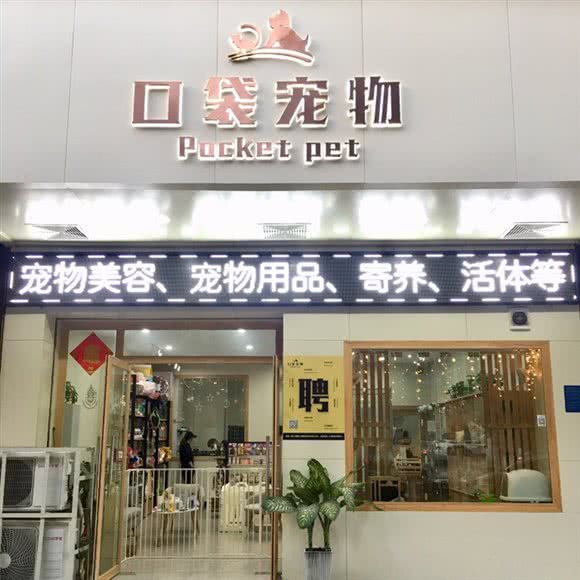 口袋宠物(油城七路店):茂名市茂南区油城7路附近