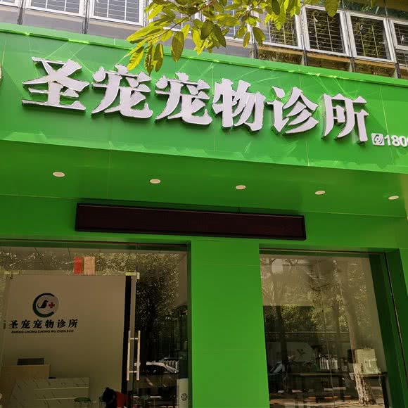 圣宠宠物诊所(油城七路店):茂名市茂南区油城7路附近