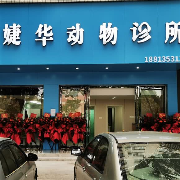 婕华动物诊所:茂名市茂南区高凉南路附近