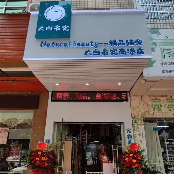 大白名宠(高凉店):茂名市茂南区文明北附近