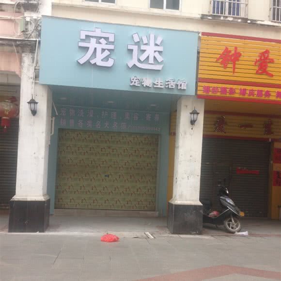 宠迷:茂名市高州市潘州街道附近