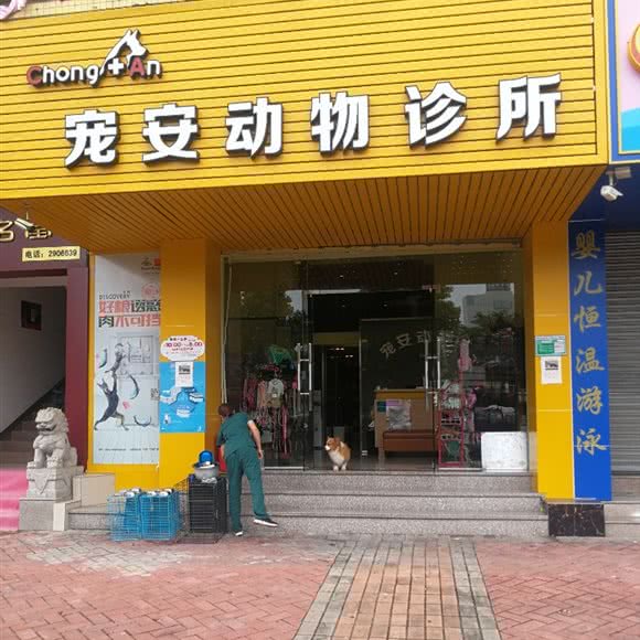 宠安动物诊所:肇庆市端州区体育中心商圈附近