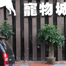 鼎盛时期丰宠物城:肇庆市端州区广百时代广场附近