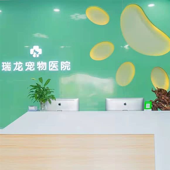 瑞龙宠物医院:肇庆市端州区牌坊东门广场附近