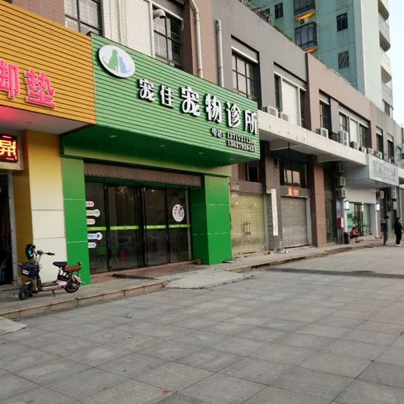 宠佳宠物诊所:肇庆市端州区蓝塘附近