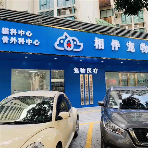 相伴宠物医院:肇庆市端州区恒裕海湾附近