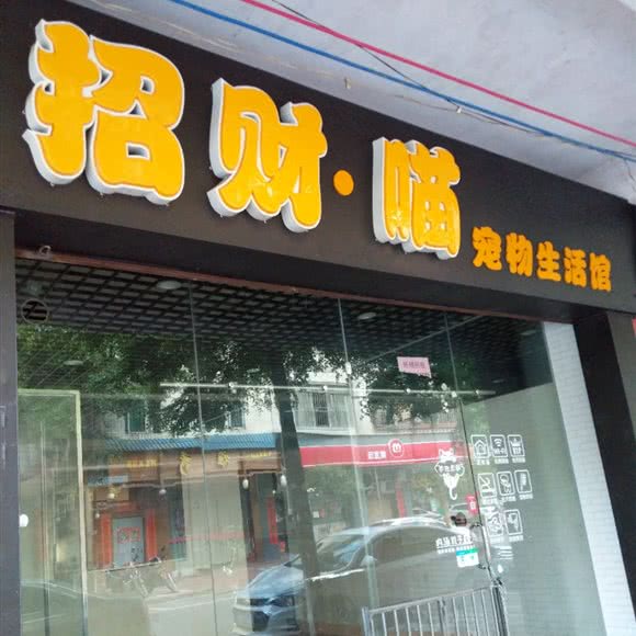 招财·喵宠物狗生活馆:肇庆市鼎湖区坑口附近