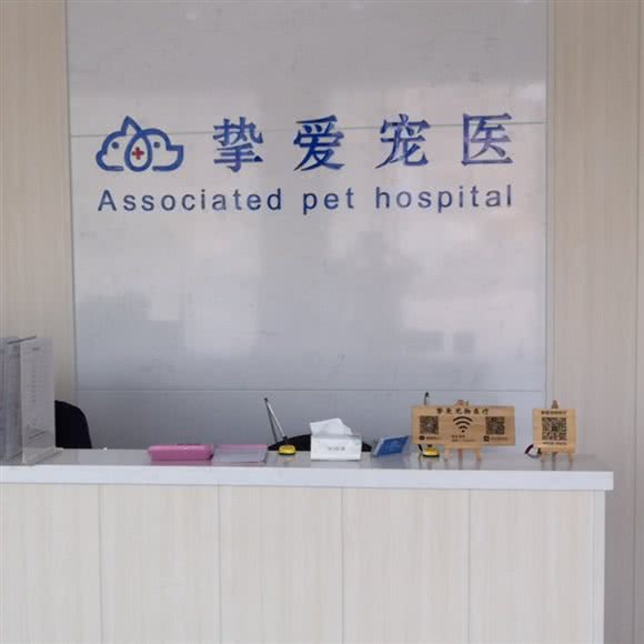 挚爱宠物医疗:肇庆市鼎湖区星湖大道附近