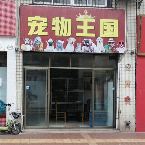 宠物王国:肇庆市四会市城中街道附近