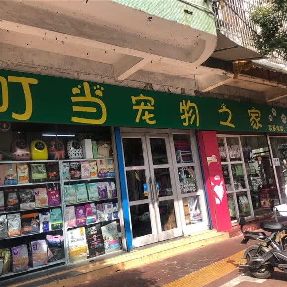 叮当宠物之家(四会分店):肇庆市四会市城中街道附近