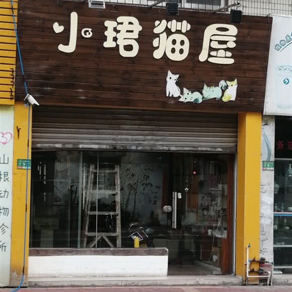 小珺猫屋:肇庆市四会市城中街道附近