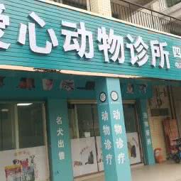 爱心动物诊所(四会店):肇庆市四会市城中街道附近