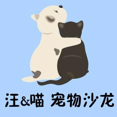 胡&喵·宠物沙龙:惠州市惠城区江北附近