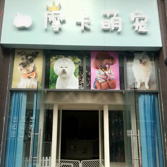 摩卡萌宠:惠州市惠城区江北附近