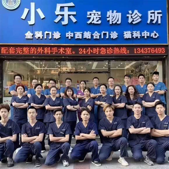 小乐宠物医院(水北店):惠州市惠城区江北附近