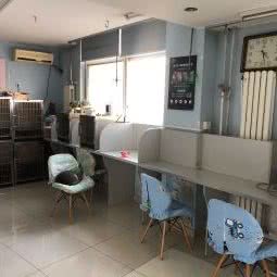 卯运宠物医院:天津城区滨海新区新港附近